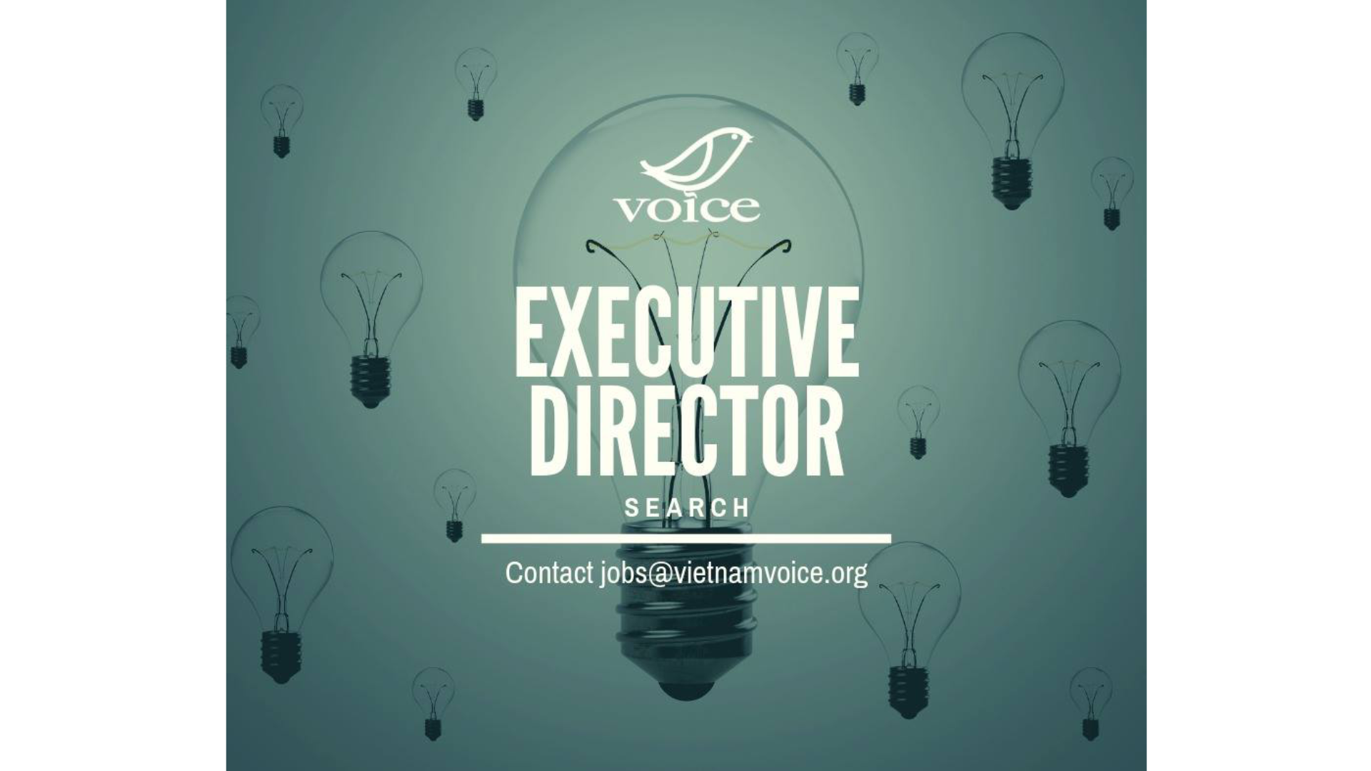 (English) VOICE Executive Director Search