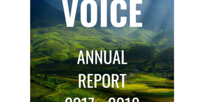 What did VOICE accomplish in 2017 and 2018?